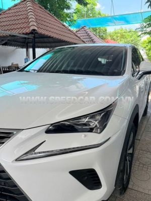 Xe Lexus NX 300 2019