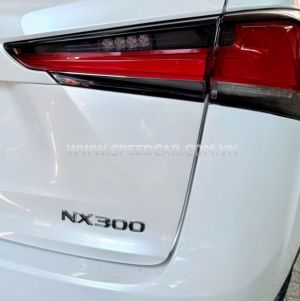 Xe Lexus NX 300 2019