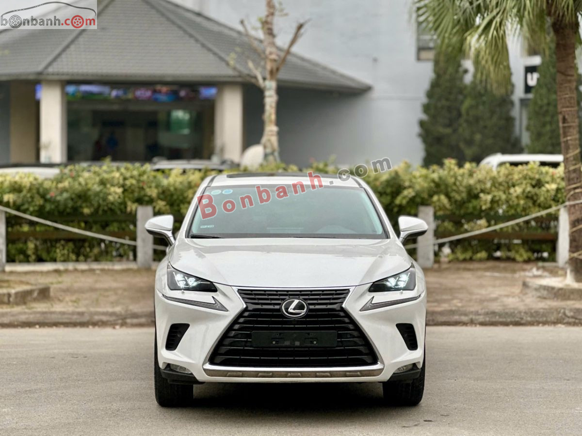 Lexus NX 300