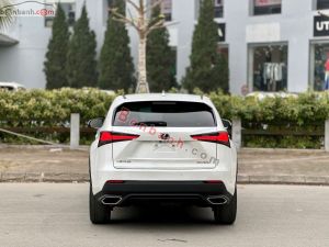Xe Lexus NX 300 2019