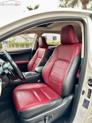 Xe Lexus NX 300 2019