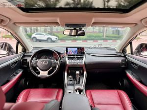 Xe Lexus NX 300 2019
