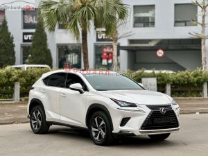 Xe Lexus NX 300 2019