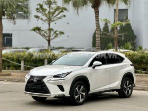 Xe Lexus NX 300 2019