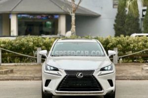 Xe Lexus NX 300 2019