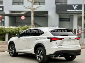 Xe Lexus NX 300 2019