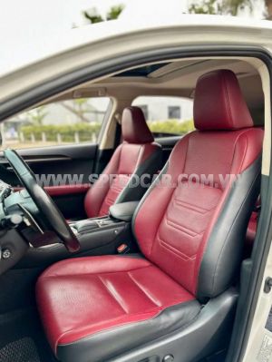 Xe Lexus NX 300 2019