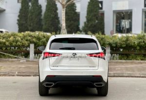 Xe Lexus NX 300 2019