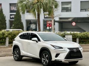 Xe Lexus NX 300 2019