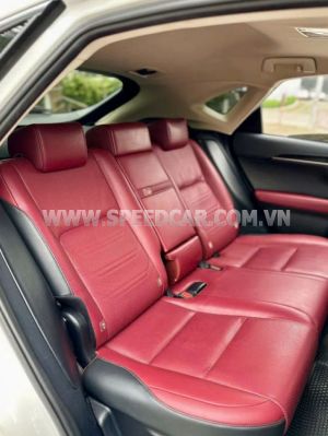 Xe Lexus NX 300 2019